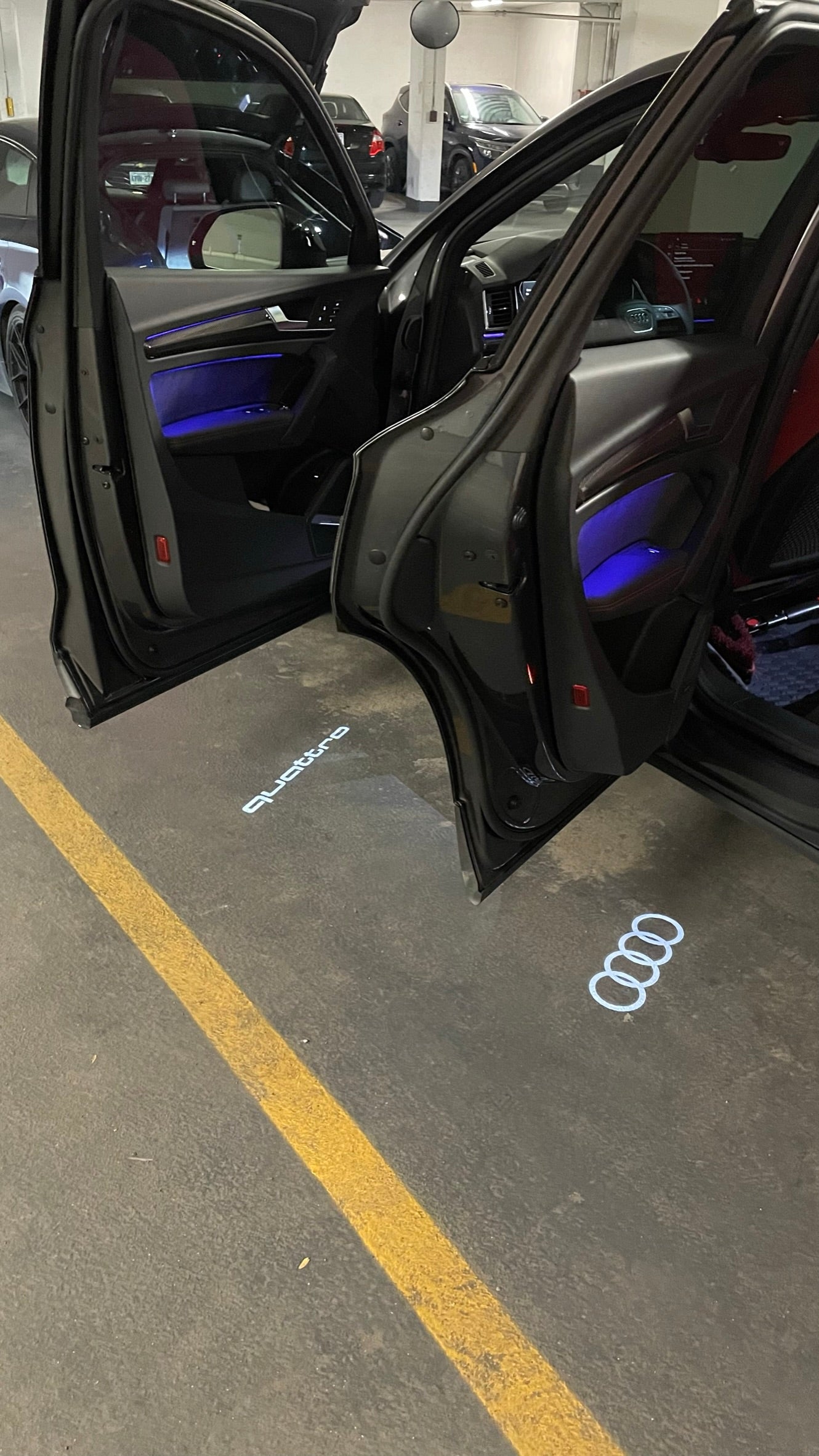 Audi Door Entrance Welcome Light (pair)